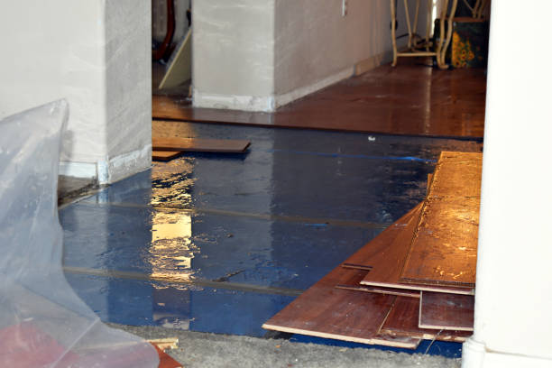 Professional Basement Flood Cleanup technician working in Litchfield Park, AZ